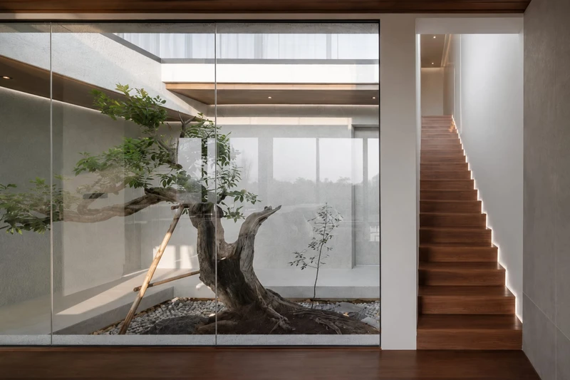 Patio intérieur vitré avec arbre central et escalier en bois dans une architecture intérieure contemporaine